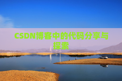 CSDN博客中的代码分享与探索